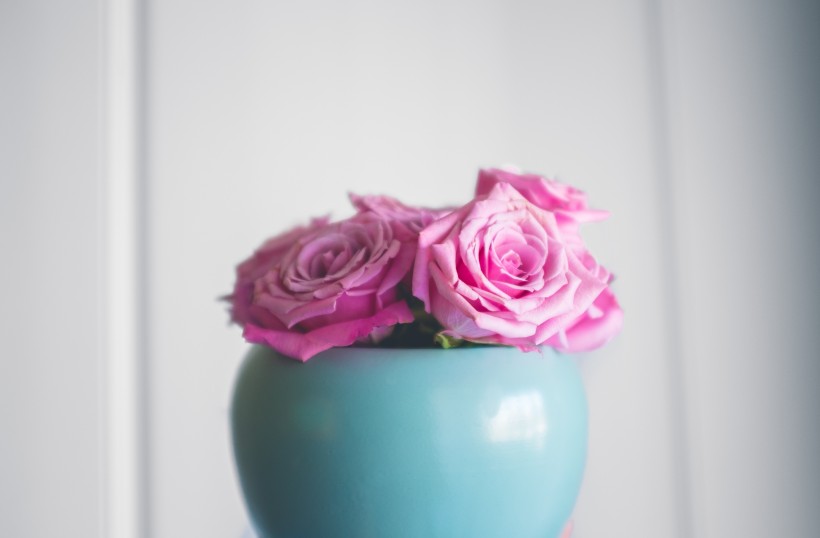 点击大图看下一张：插花的花瓶图片