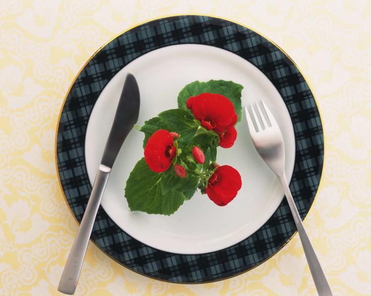 点击大图看下一张：餐盘摆件图片