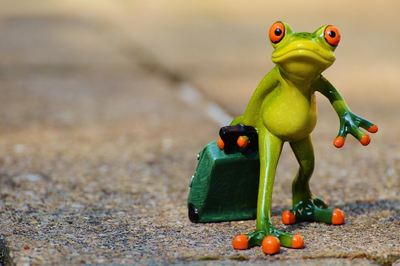 点击大图看下一张：可爱的青蛙玩具图片