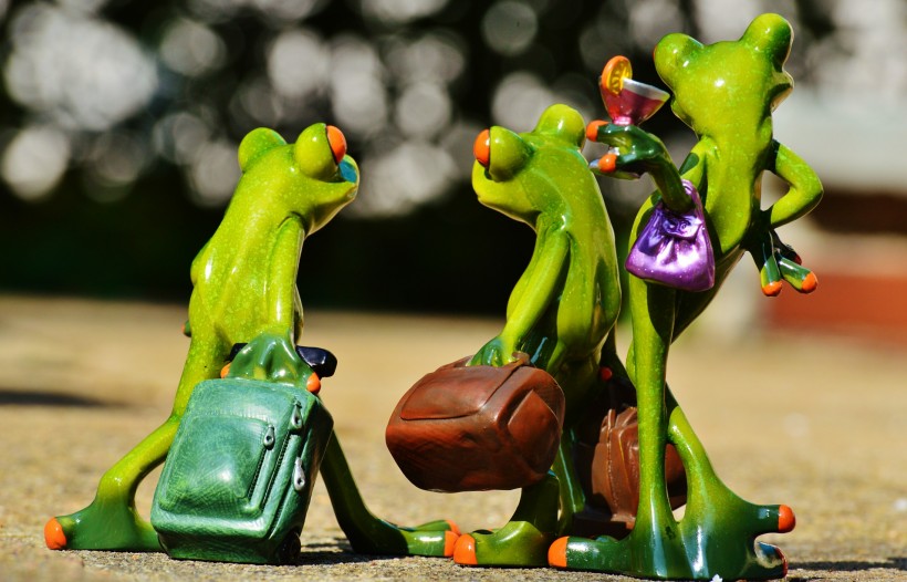 点击大图看下一张：可爱的青蛙玩具图片