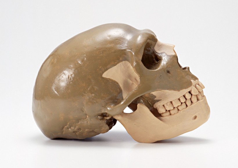 点击大图看下一张:科学实验用品图片