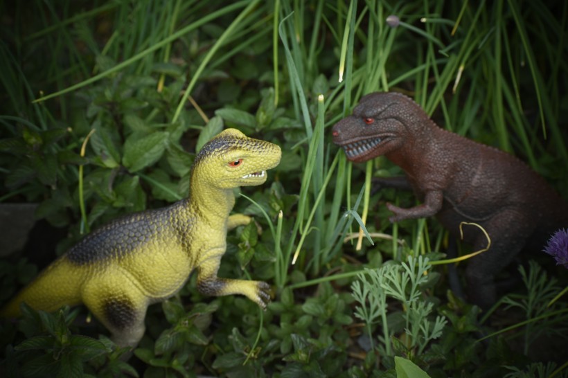 点击大图看下一张：可爱的恐龙玩具图片