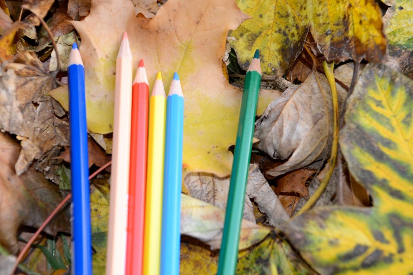 点击大图看下一张：落叶上的彩色铅笔图片