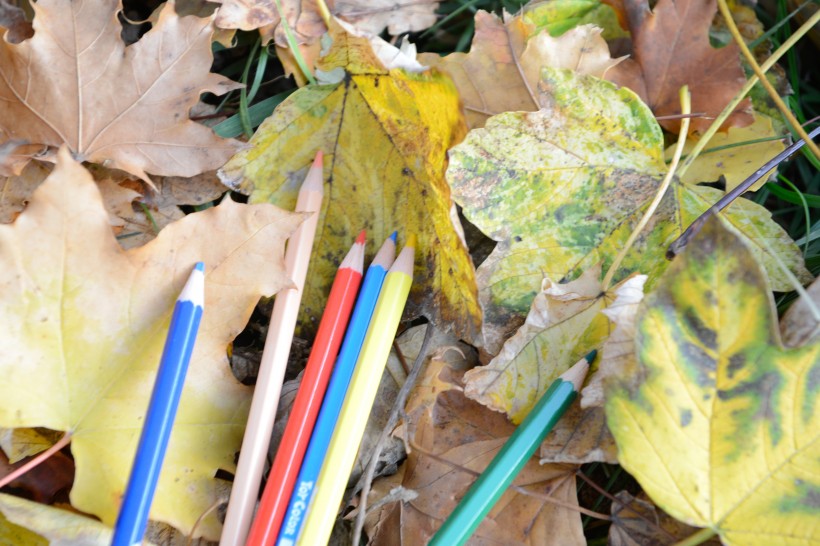 点击大图看下一张：落叶上的彩色铅笔图片