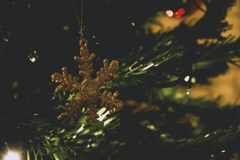 点击大图看下一张：圣诞树上的一些小饰品图片