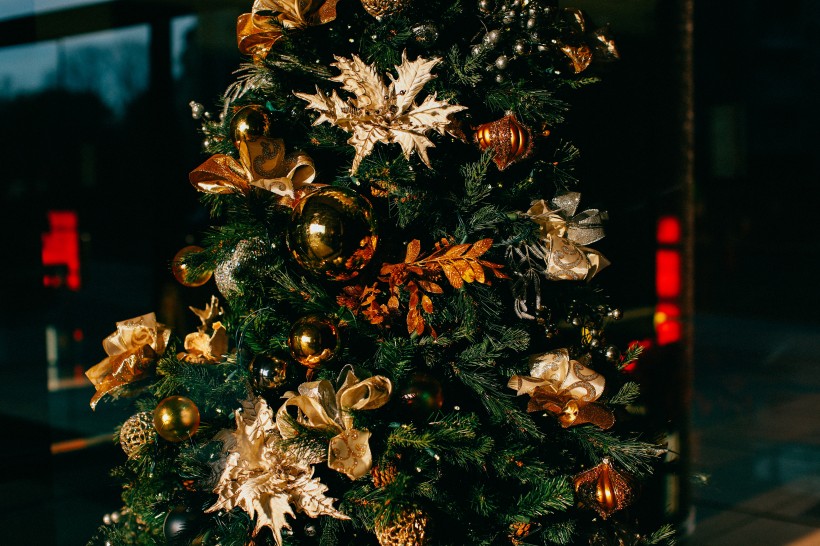 点击大图看下一张：圣诞树上的小饰品图片