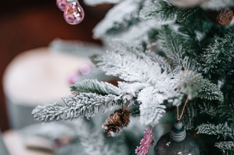 点击大图看下一张：圣诞树的装饰品图片