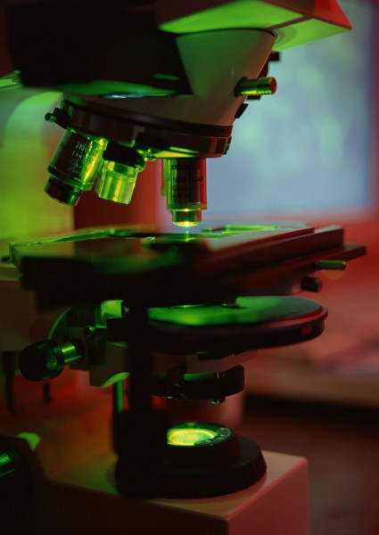 点击大图看下一张:显微镜图片