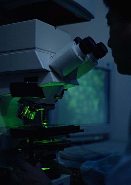 点击大图看下一张:显微镜图片