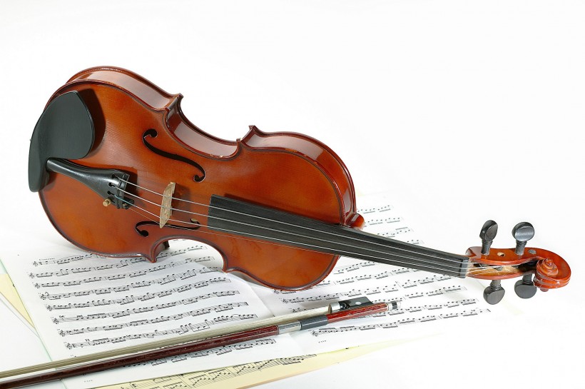 点击大图看下一张：小提琴图片