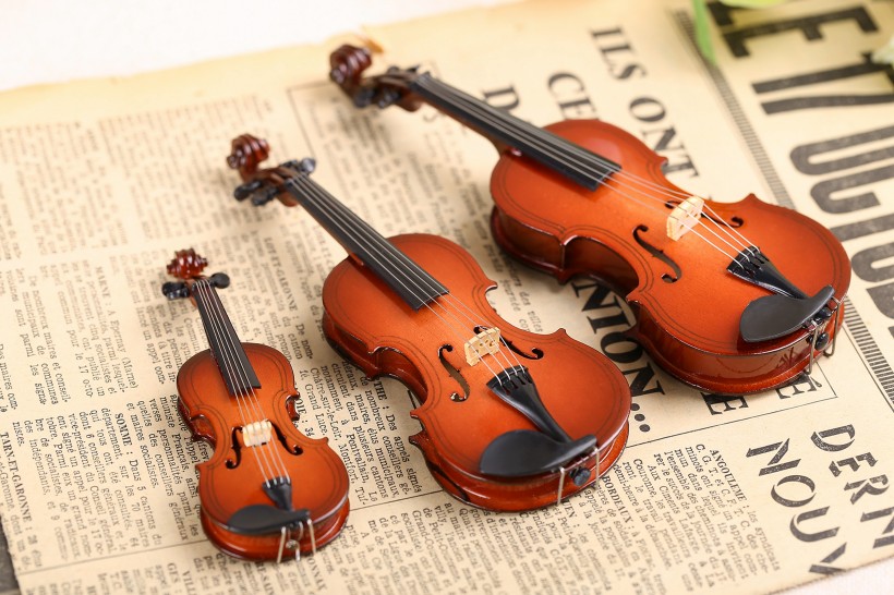 点击大图看下一张：漂亮的小提琴玩具图片