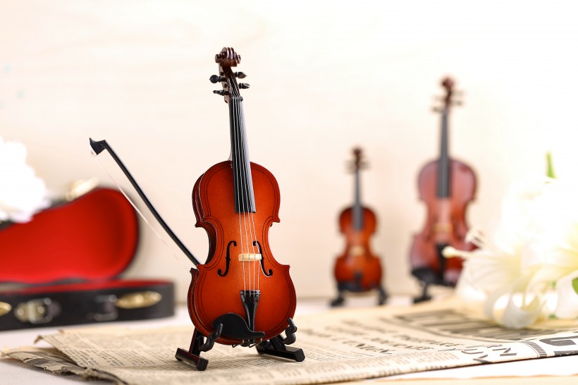 点击大图看下一张：漂亮的小提琴玩具图片