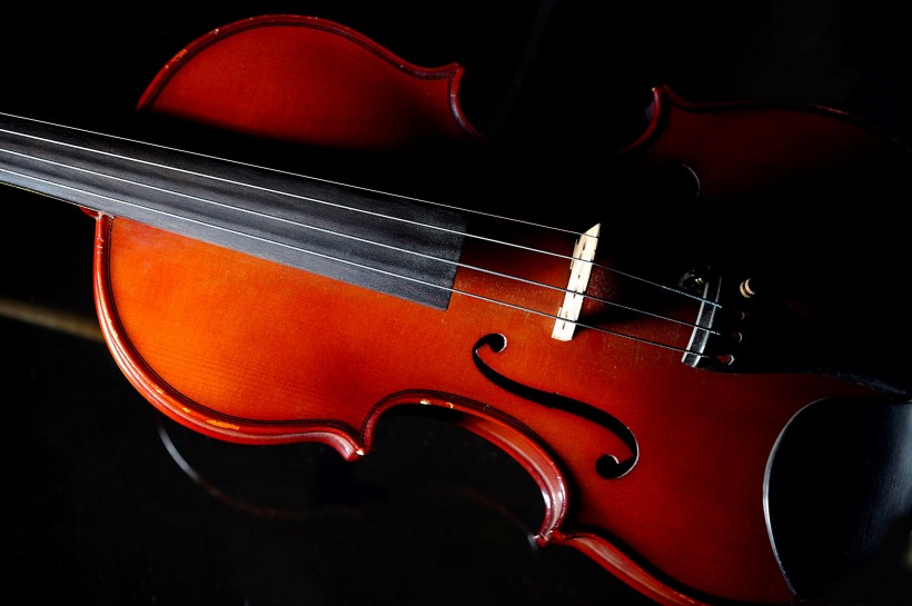 点击大图看下一张：小提琴图片