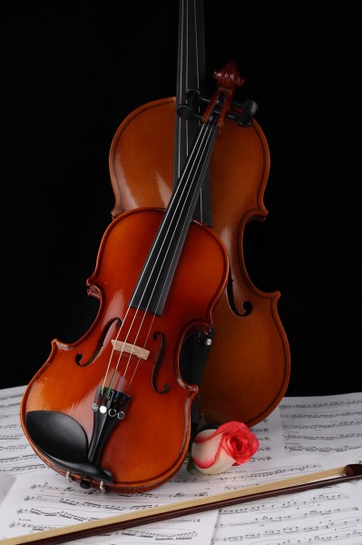 点击大图看下一张：优雅的小提琴图片