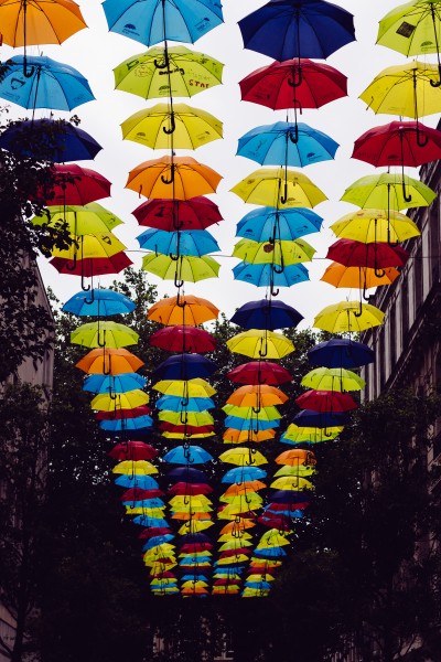 点击大图看下一张：颜色各异的雨伞图片