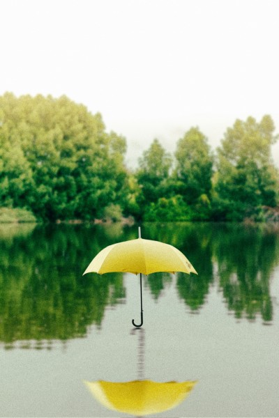 点击大图看下一张：颜色各异的雨伞图片