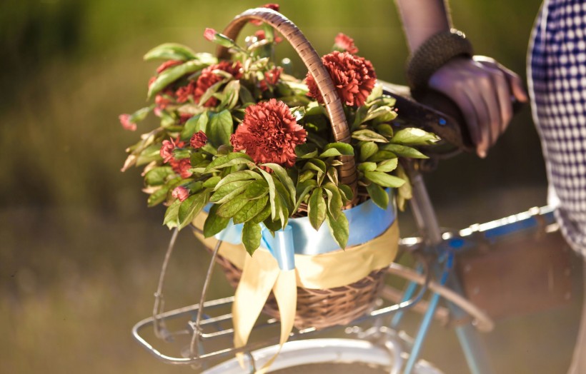 点击大图看下一张：载满鲜花的自行车图片