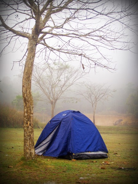 点击大图看下一张：野外搭建的帐篷图片