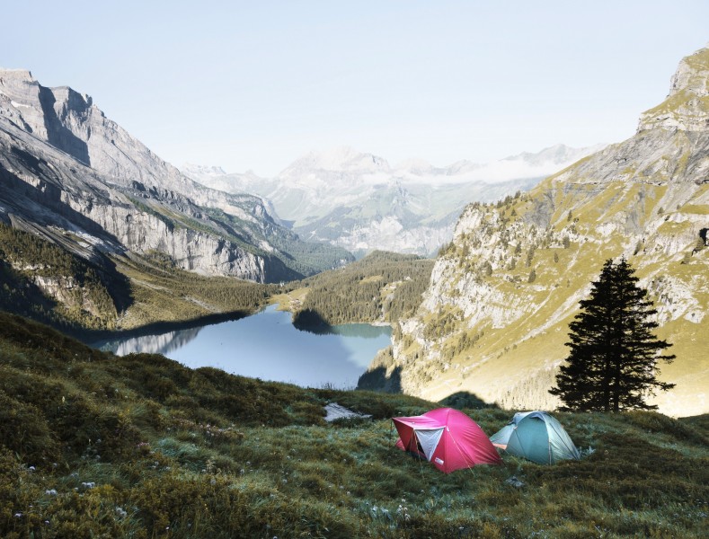 点击大图看下一张：野外搭建的帐篷图片