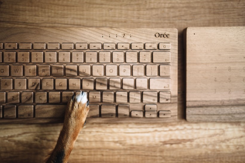 点击大图看下一张：桌上的木制键盘图片