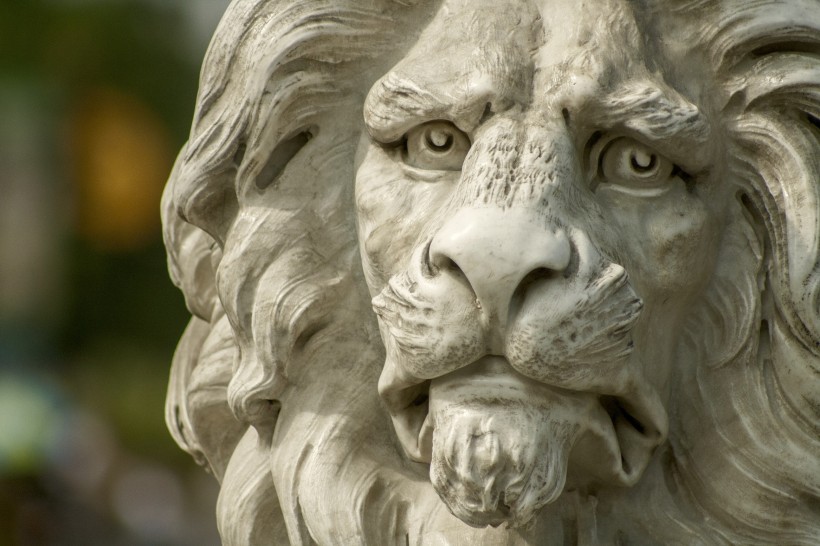 点击大图看下一张：栩栩如生威武的石雕狮子图片