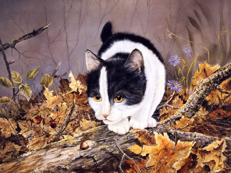 点击大图看下一张：手绘猫咪可爱图片