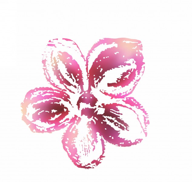 点击大图看下一张：水墨花卉图片