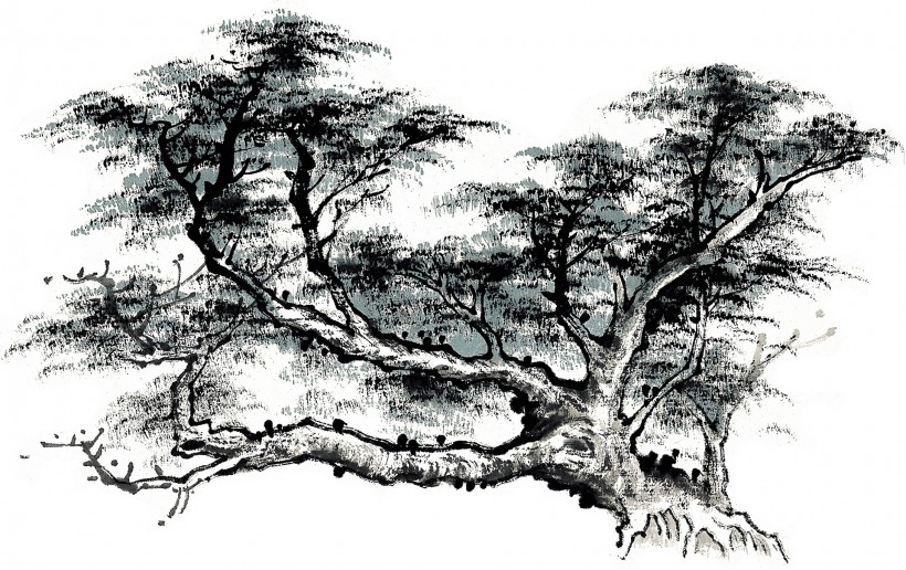 点击大图看下一张：水墨松树图片