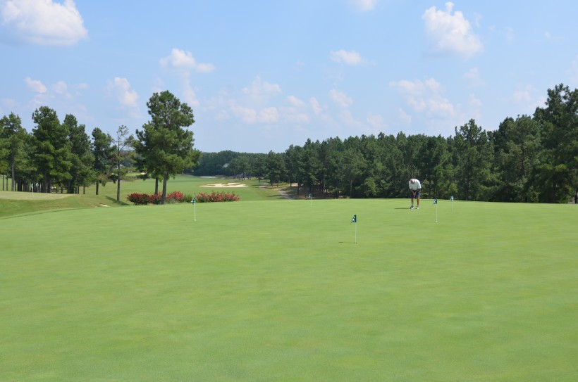 点击大图看下一张：休闲运动高尔夫球场图片