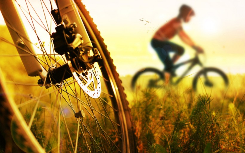 点击大图看下一张：有氧运动骑自行车唯美图片