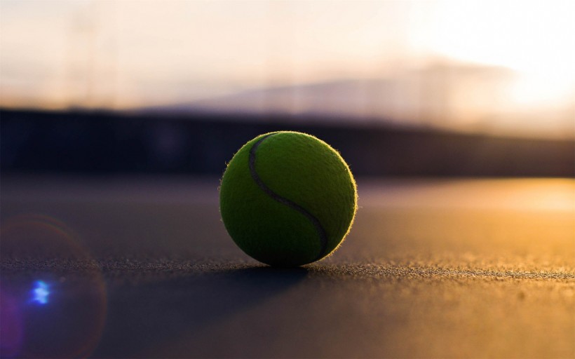 点击大图看下一张：网球特写图片