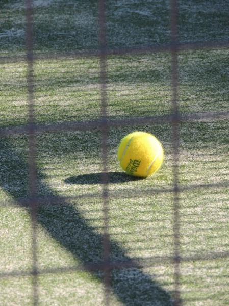 点击大图看下一张：网球图片