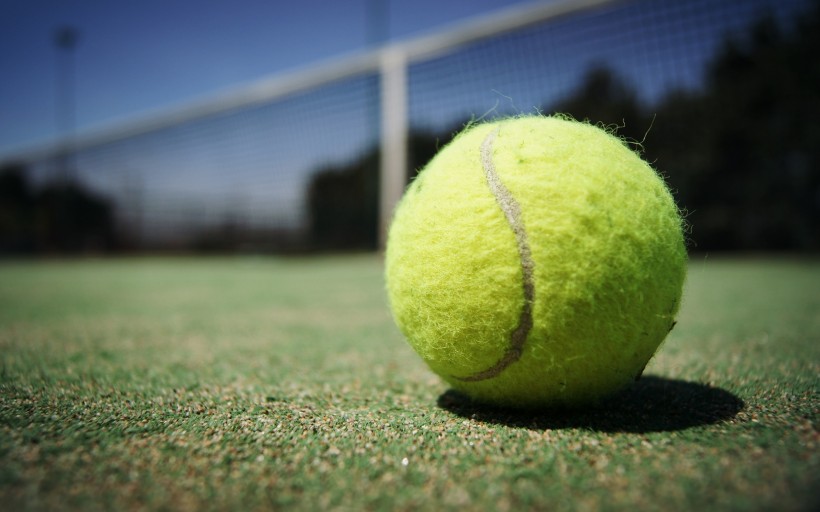 点击大图看下一张：弹性极好的网球图片