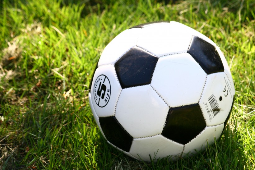 点击大图看下一张：草地上的足球图片