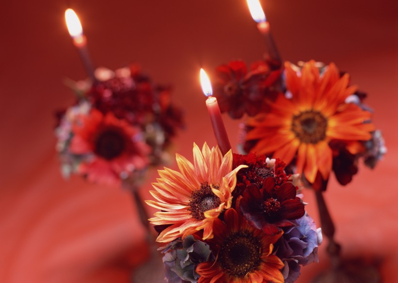 点击大图看下一张：点燃的蜡烛与花朵图片