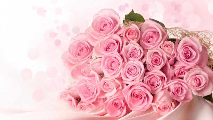 点击大图看下一张：粉红色玫瑰花图片