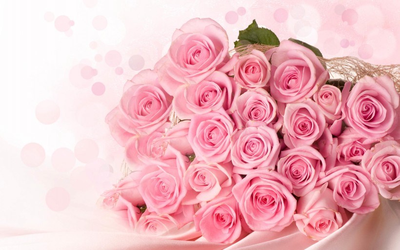 点击大图看下一张：粉色玫瑰图片