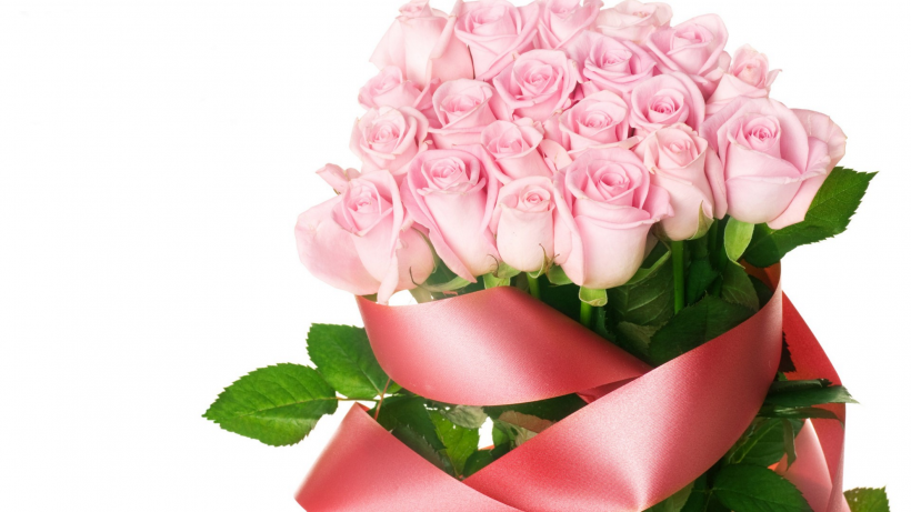点击大图看下一张：爱情之花粉色玫瑰图片