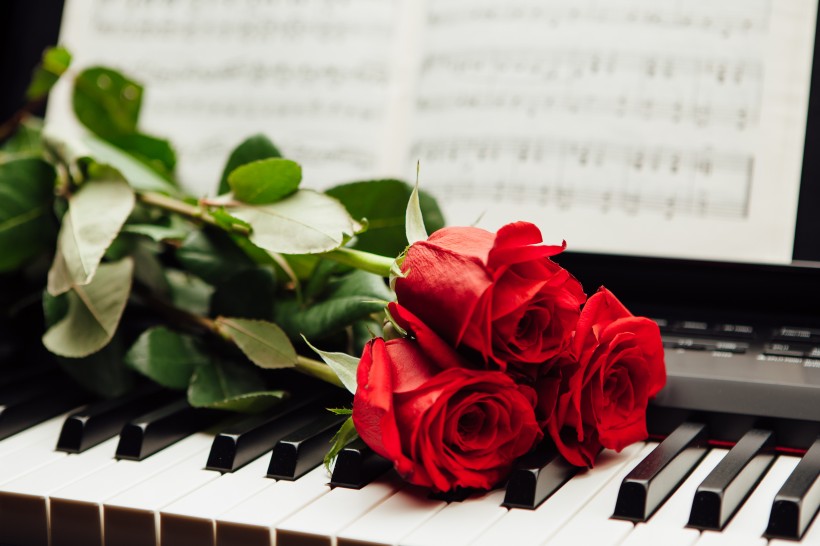 点击大图看下一张：玫瑰花朵与钢琴图片