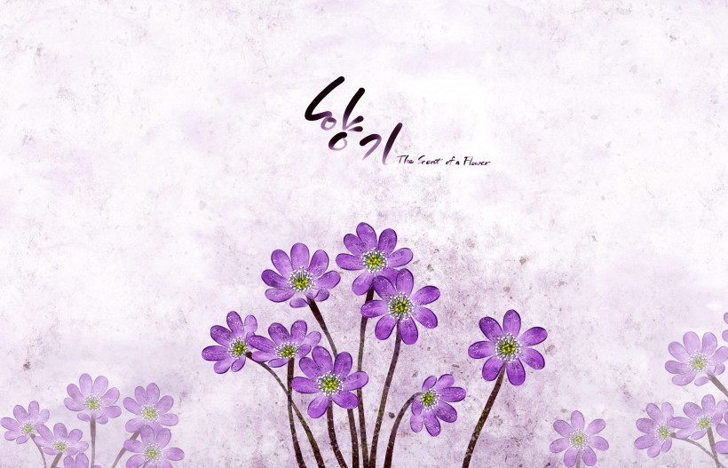 点击大图看下一张：韩国浪漫紫色花朵背景图片