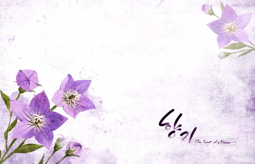 点击大图看下一张：韩国浪漫紫色花朵背景图片