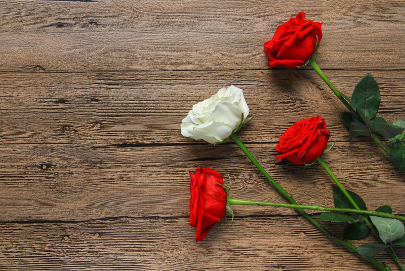 点击大图看下一张：七夕情人节红玫瑰图片
