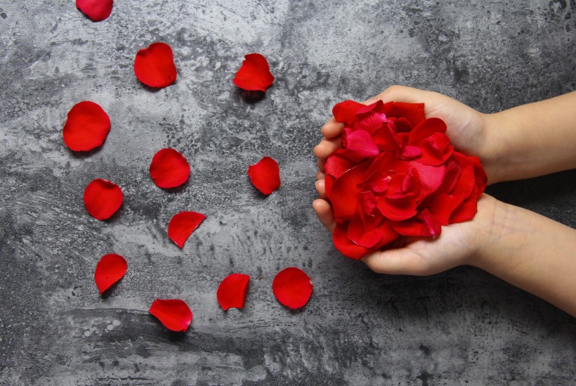 点击大图看下一张：七夕情人节红玫瑰图片