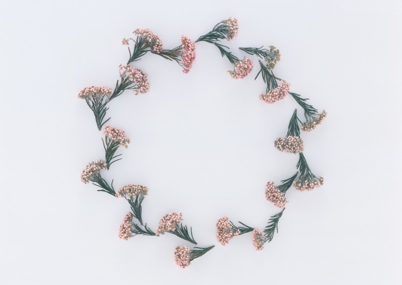 点击大图看下一张：花框花环图片