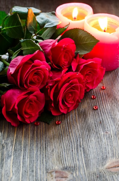 点击大图看下一张：火红色的玫瑰花图片