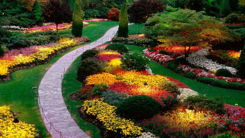 点击大图看下一张：美丽的花园图片