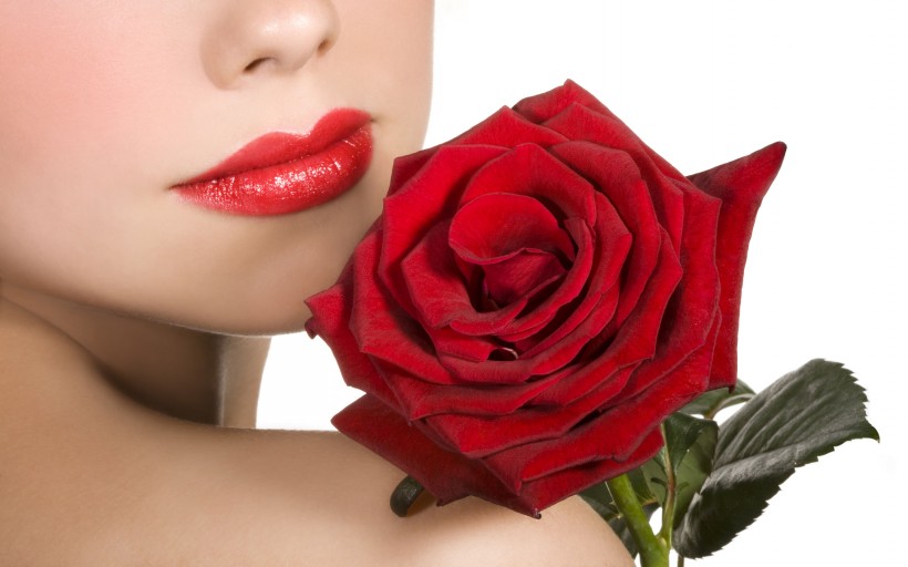 点击大图看下一张：美丽动人的玫瑰花图片