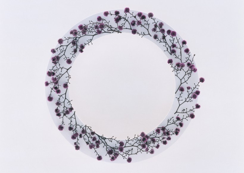 点击大图看下一张：清新小花朵圆形边框图片