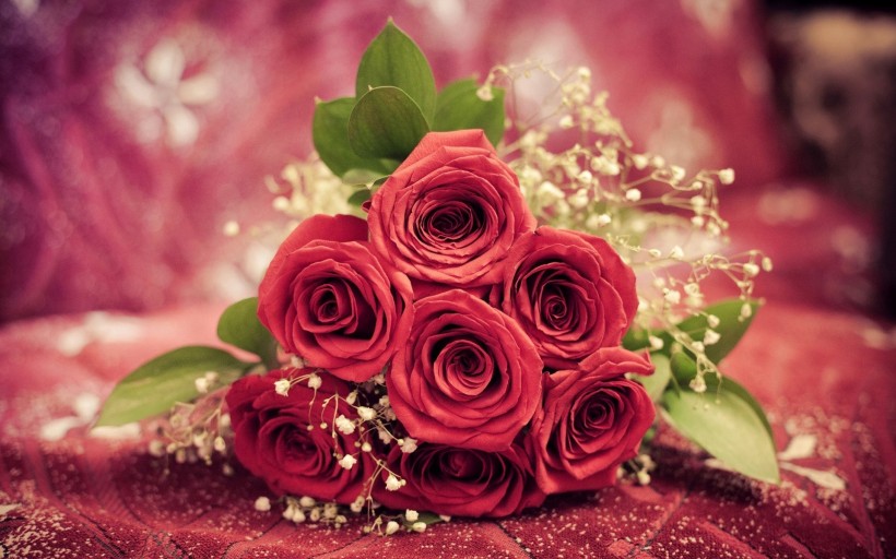 点击大图看下一张：娇艳欲滴的玫瑰图片