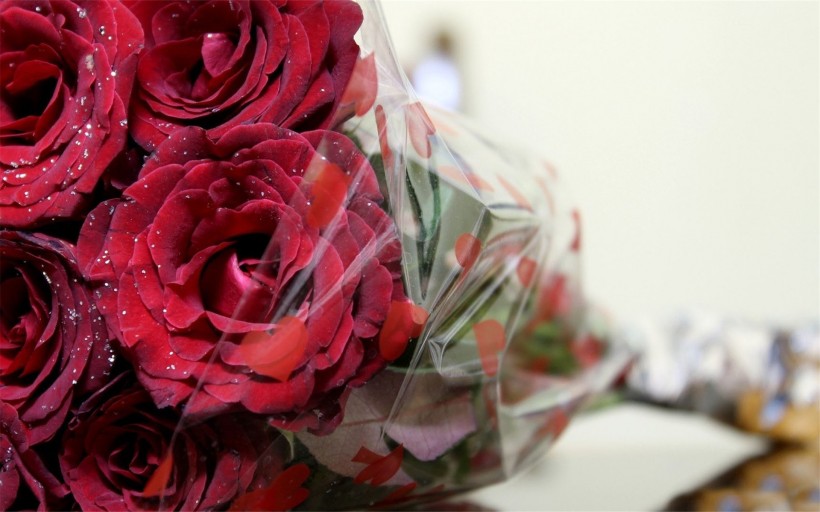 点击大图看下一张：娇艳欲滴的玫瑰图片